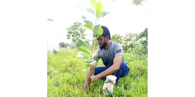 ১১ বছরে ৩৪ হাজার বৃক্ষরোপণ
